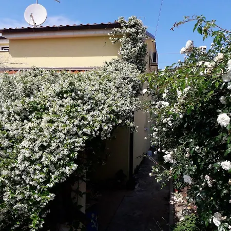 Appartement Samanta *